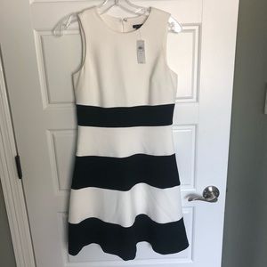 Ann Taylor dress (NWT)
